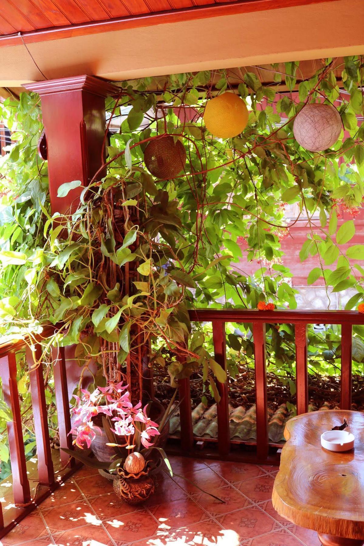 Apple Guesthouse Luang Prabang Luaran gambar
